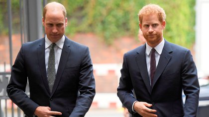 Los hermanos William y Harry tienen una relación tensa desde la boda del príncipe con Meghan Markle en mayo de 2018 (Shutterstock)