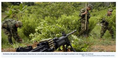 Ecuador Destruye 10 000 Plantas De Coca Cerca De Colombia Eju Tv