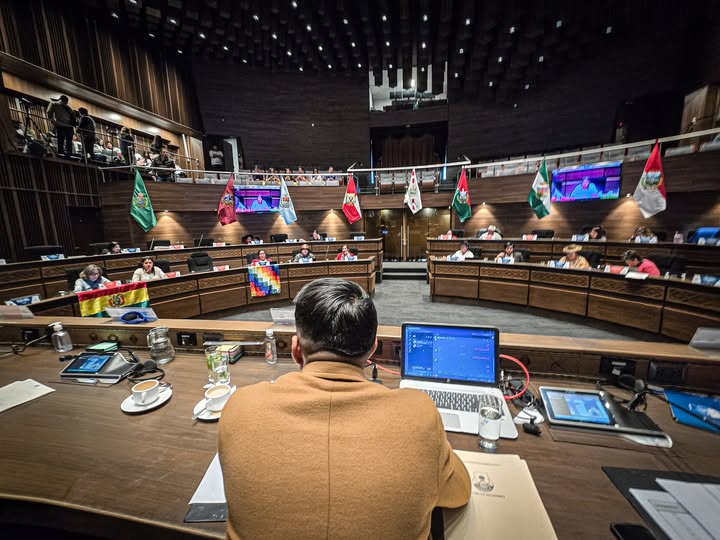 La sesión de la Cámara de Senadores del jueves. / Foto: CS.