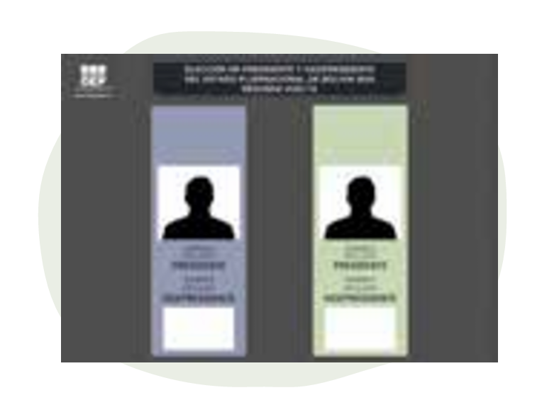 Vota blanco