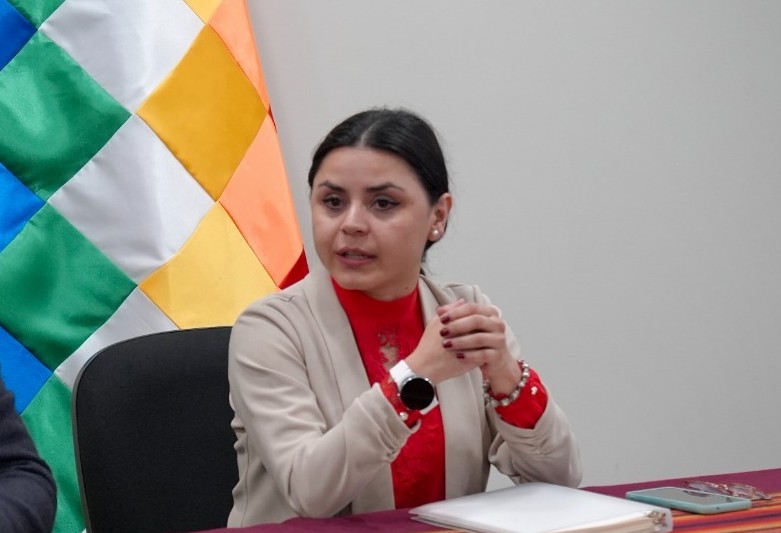 Carla Faval en la comisión de transición. / Foto: RRSS