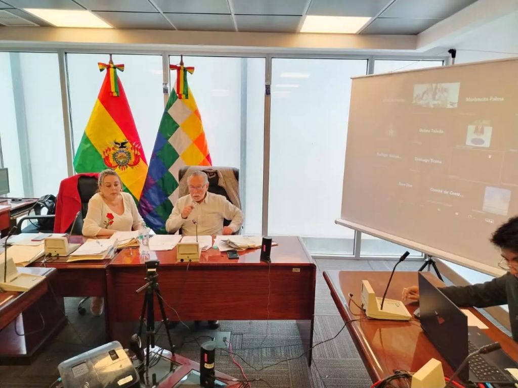 La sesión de la Comisión de Constitución de la Cámara de Diputados. / Foto: Diputados