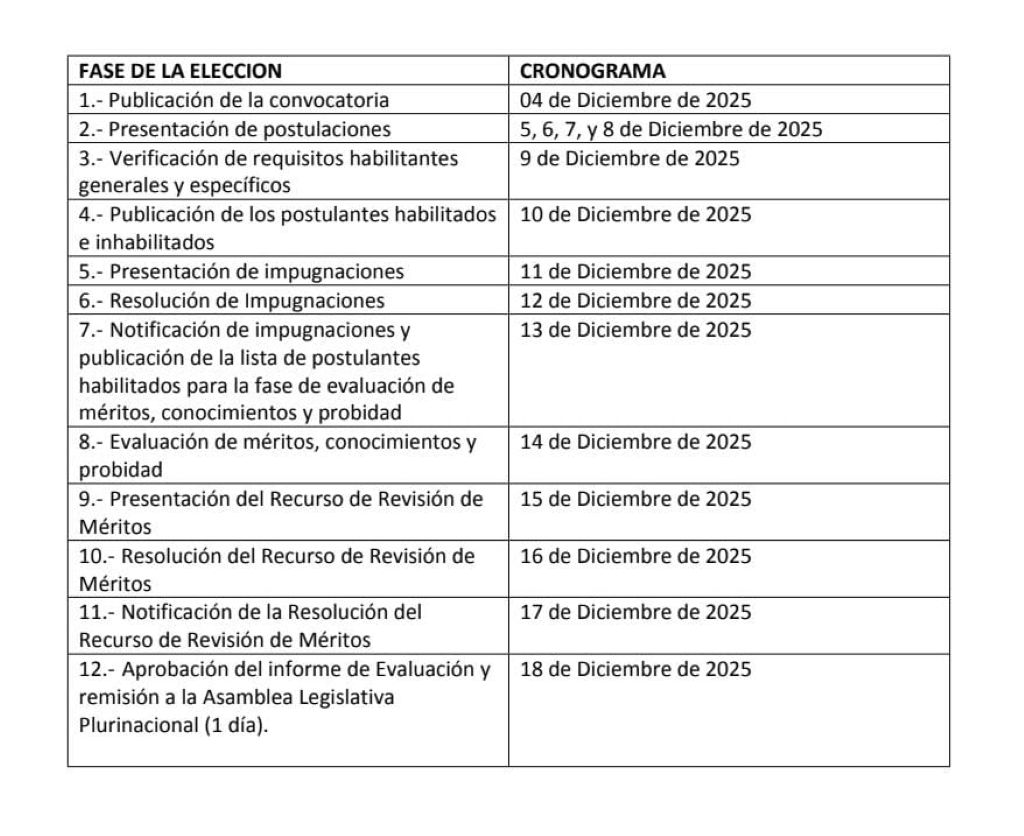 Cronograma para la selección y elección de vocales del TSE