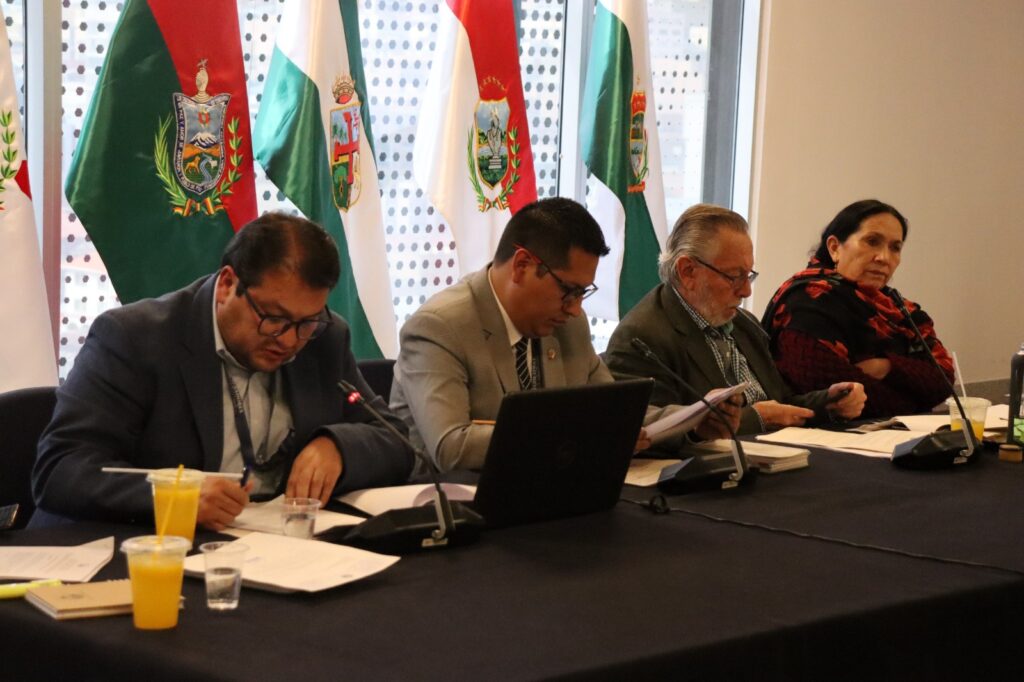 La Comisión Mixta de Constitución. / Foto: Diputados.