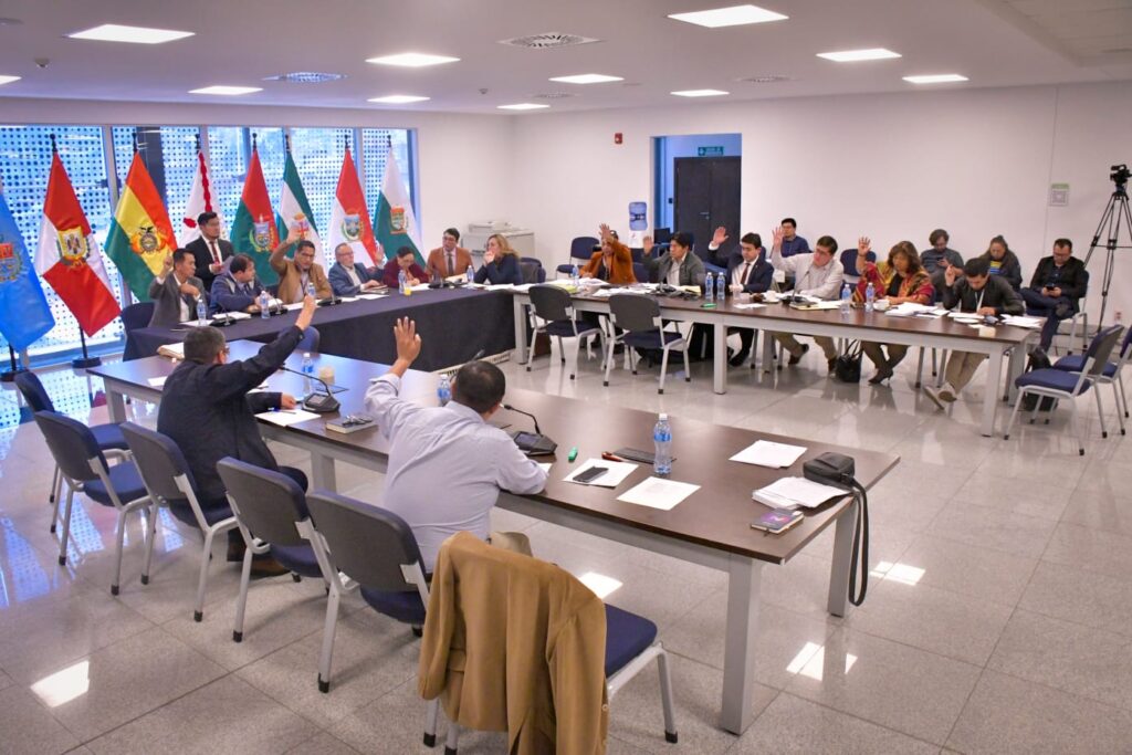 La sesión de la Comisión Mixta de Constitución. / Foto: Senado.