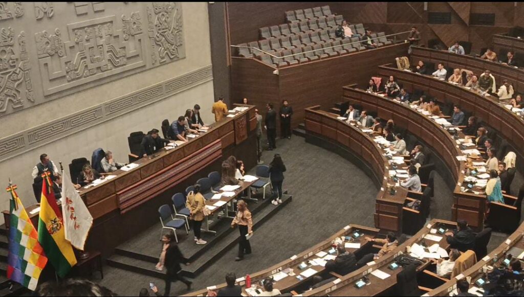 La sesión de la Asamblea Legislativa Plurinacional. / Foto: TSE.