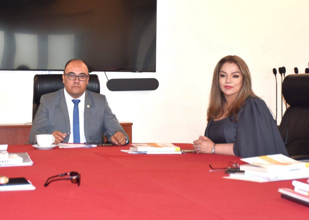 El presidente del TSE, Gustavo Ávila, y la vicepresidenta Ximena Camacho. / Foto: TSE.