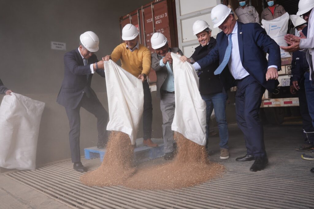 El trigo donado por Rusia y el PMA. / Foto: MDPRYA