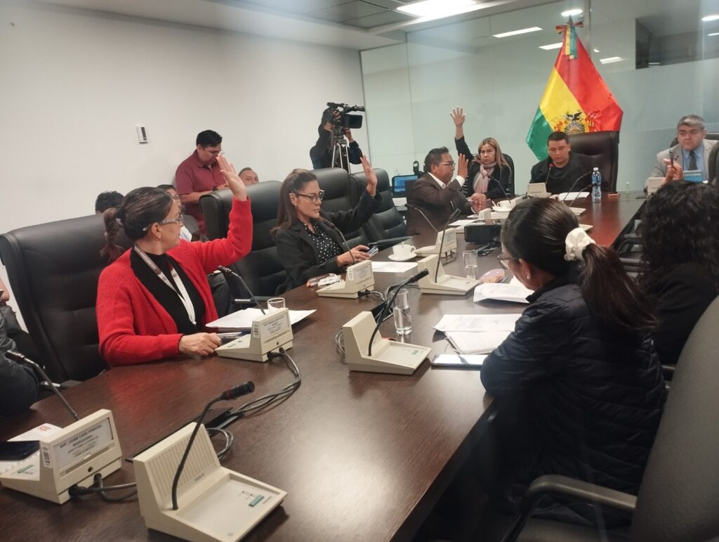 La sesión de la Comisión de Planificación Política Económica y Finanzas. / Foto: CP