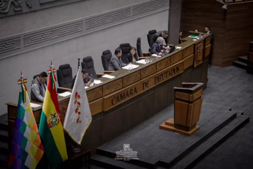 La sesión de la Cámara de Diputados. / Foto: CD.