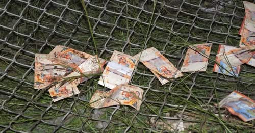Los billetes que quedaron en el lugar del accidente aéreo de El Alto. / Foto: APG.