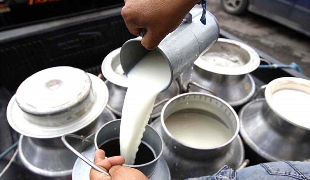 La producción de leche. Foto El Día