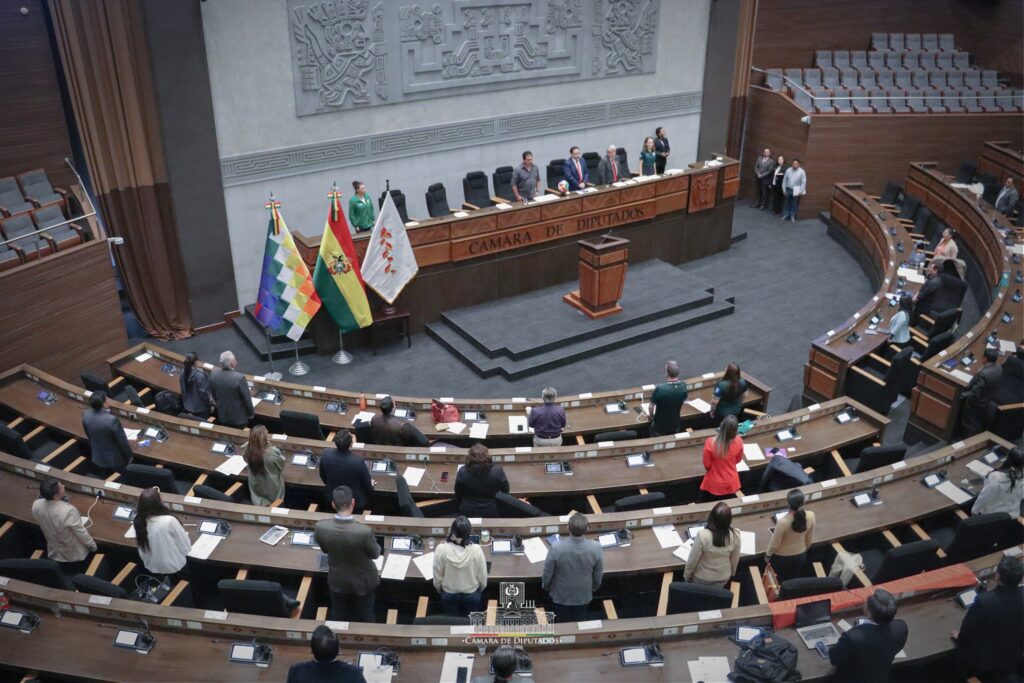 La sesión de la Cámara de Diputados del martes. / Foto: CD