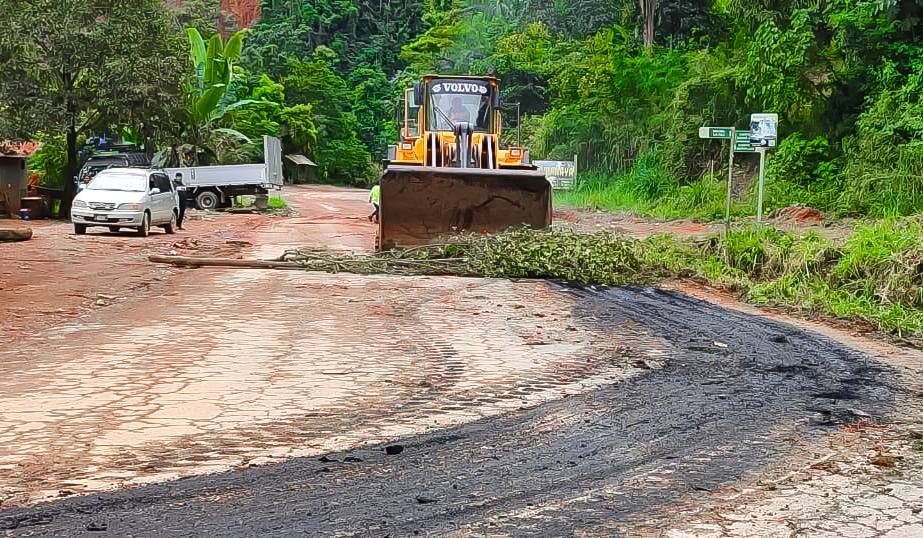 La maquinaria que trabaja en el tramo Yolosa - Caranavi. / Foto: ABC
