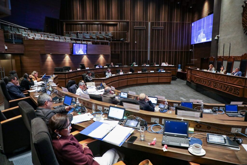 Una sesión de la Cámara de Senadores. / Foto: Senado.