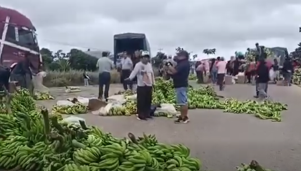 Productores de banana no pudieron enviar sus productos para exportación. / Foto: Captura de video.
