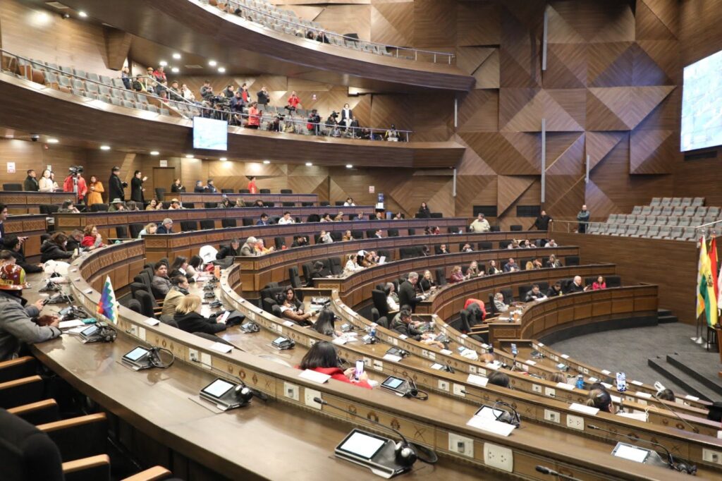 La sesión de la Asamblea Legislativa Plurinacional que terminó la madrugada de este domingo. / Foto: Vicepresidencia.