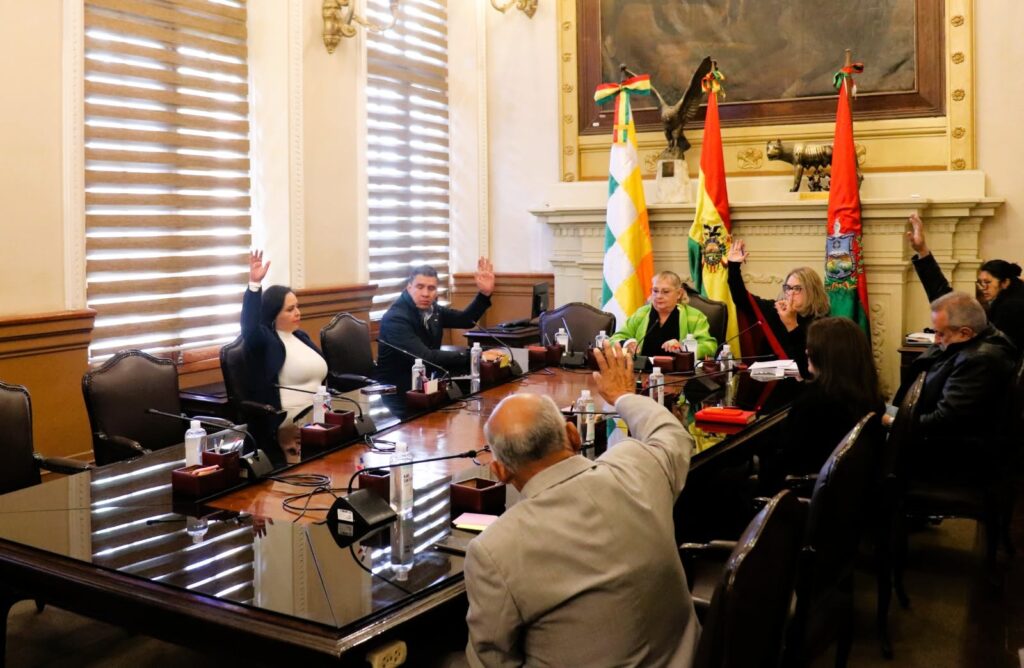 La sesión del Concejo Municipal de La Paz de este lunes. / Foto: CM