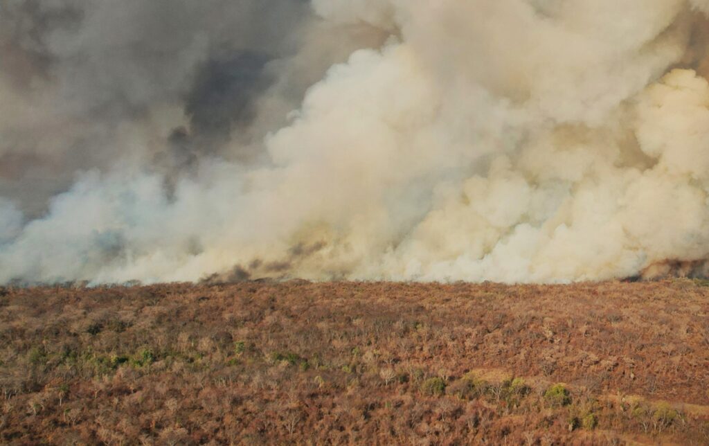 Un incendio forestal. / Foto: Amigos de la Naturaleza.