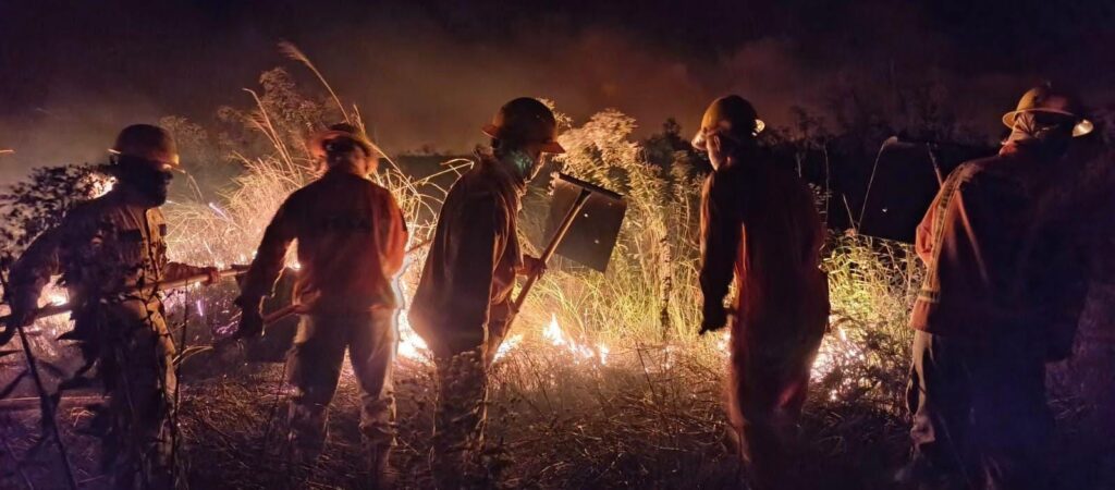 Bomberos combaten el fuego en una zona de Santa Cruz. / Foto: Min. Defensa.