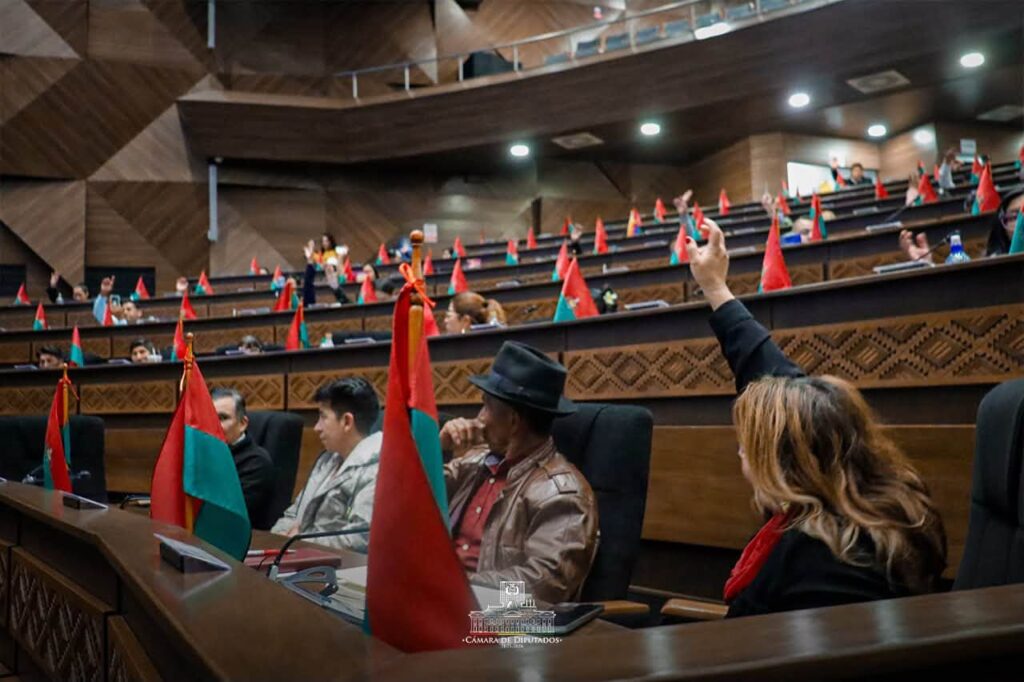 Los diputados votan para la aprobación de una norma. / Foto: CD