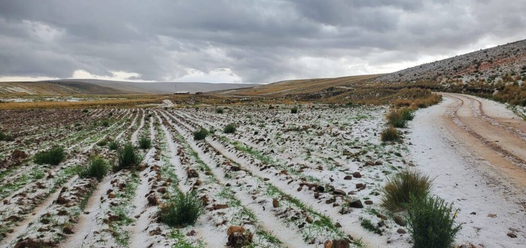 Una zona de cultivo afectada por las lluvias. / Foto: GDLP