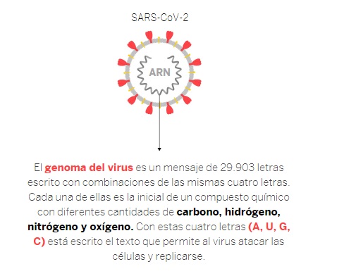 La enigmática mutación del coronavirus que ahora domina el planeta ...