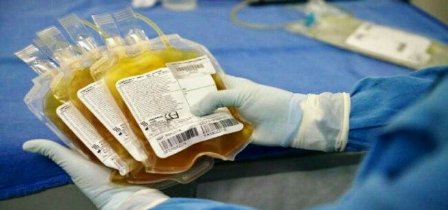 Zulia tratará casos de COVID-19 con plasma de pacientes ...