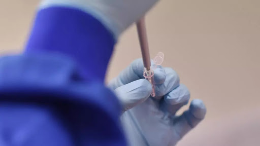 Vacuna para Covid-19 de Oxford será testada en Brasil – eju.tv