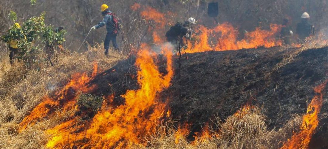 Según la ABT, en 2019 se quemaron 5,3 millones de hectáreas en Bolivia. Foto: Ipa Ibañez