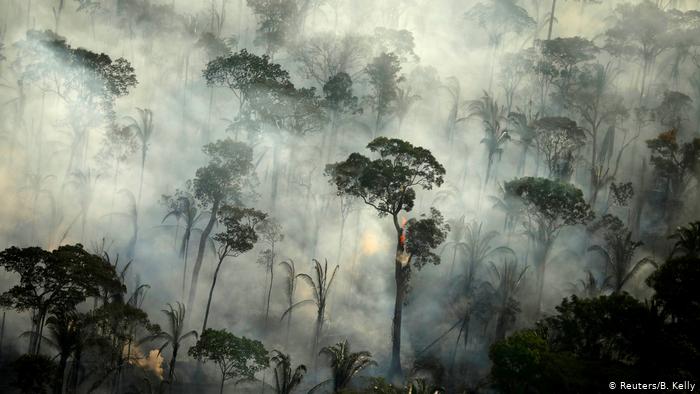 Brasilien Waldbrände (Reuters/B. Kelly)