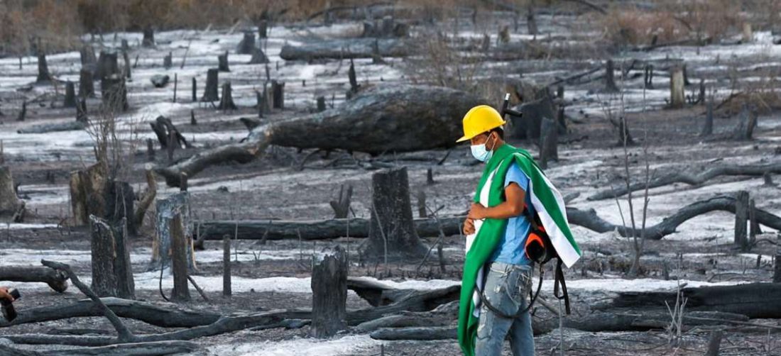 En 2019, los incendios afectaron a cerca de 4 millones de hectáreas. Fotos: Ipa Ibañez / Hernán Virgo