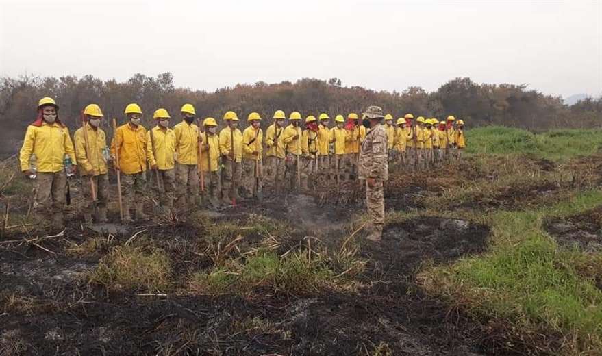 Los bomberos forestales trabajan en la liquidación del fuego /Foto: Jorge Ibáñez