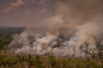Incendios en la Amazonía de Brasil (© CHRISTIAN BRAGA / GREENPEACE / CHRISTIAN BRAGA) 