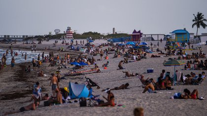 Las playas de Miami Beach en plena pandemia se llenaron de gente cuando abrieron (Photo by CHANDAN KHANNA / AFP)