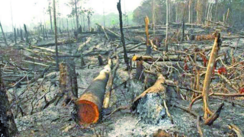 Canadá impulsa proyecto de prevención de incendios forestales en Bolivia