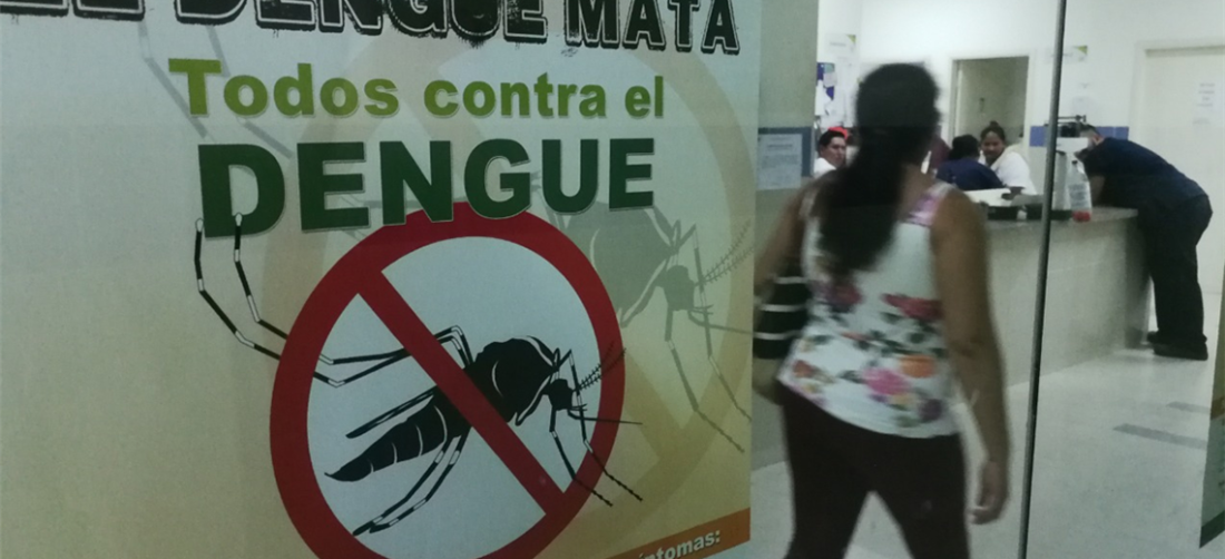 El dengue es una enfermedad que se transmite por el mosquito Aedes Aegypti. Foto. Hernán V