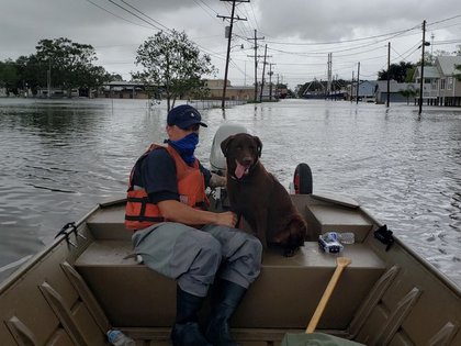 Un efectivo de la guardia costera rescata a un perro de las calles inundadas en Delcambre, Luisiana, después del paso de la tormenta Laura. U.S. Coast Guard/Handout via REUTERS. ATENCIÓN EDITORES: ESTA IMAGEN FUE PROVISTA POR UNA TERCERA PARTE.