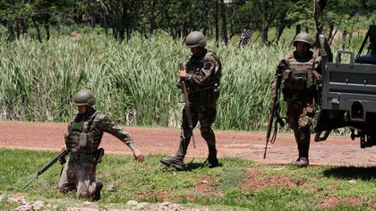 Paraguay, en la mira internacional, tras un operativo del Ejército en un campamento de la guerrilla EPP (REUTERS/Jorge Adorno)