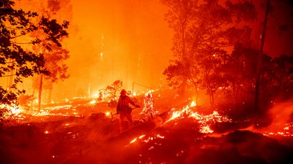 Un bombero trabaja en la escena mientras las llamas empujan hacia las casas durante el incendio de Creek en el área de Cascadel Woods del condado no incorporado de Madera, California. (Photo by JOSH EDELSON / AFP)