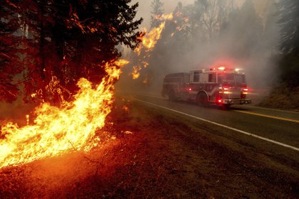 Bomberos intentan combatir las llamas en California. (AP Photo/Noah Berger)