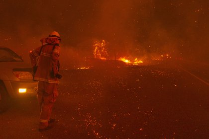 Las brasas caen alrededor de un fotógrafo mientras el fuego se expande rápidamente el 8 de septiembre de 2020 cerca de Shaver Lake, California (David McNew/Getty Images/AFP)