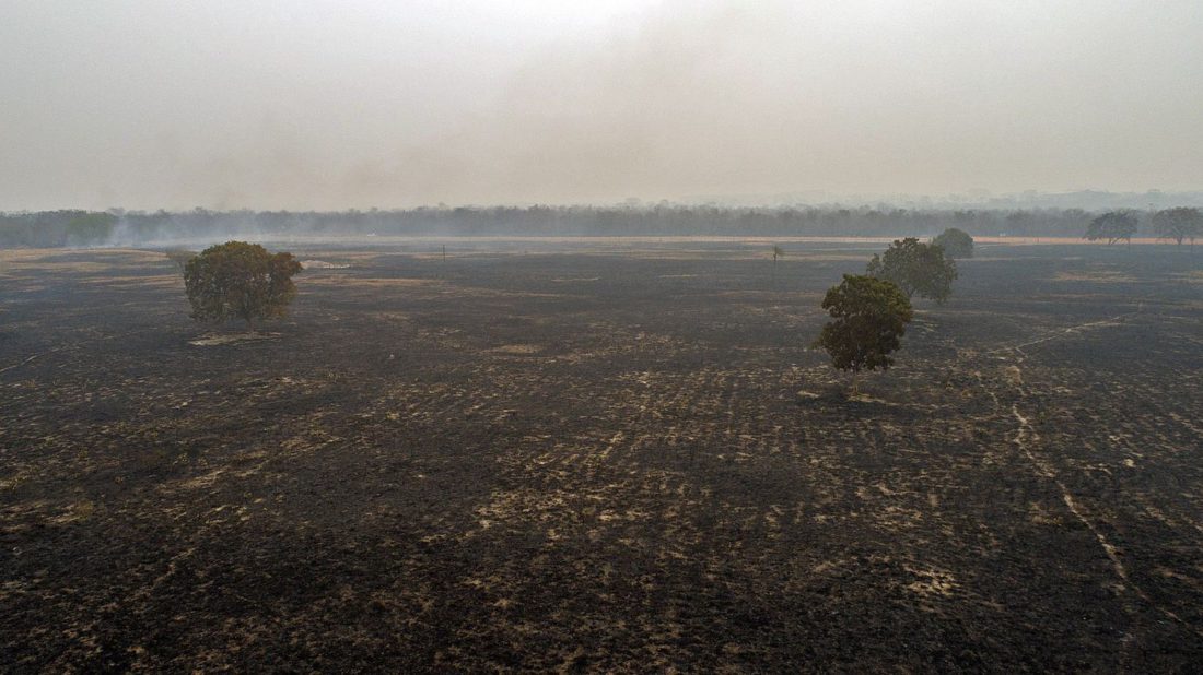 La quema devasta el bosque cerca de Cuiabá.