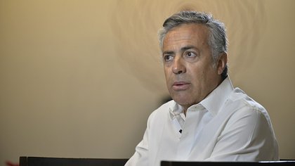 Alfredo Cornejo, presidente de la UCR (Gustavo Gavotti)