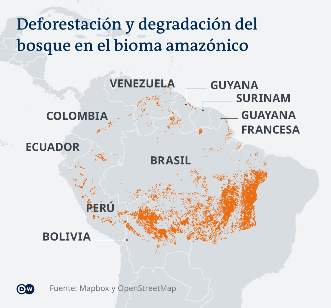 Infografik Karte Waldschwund in Lateinamerika ES