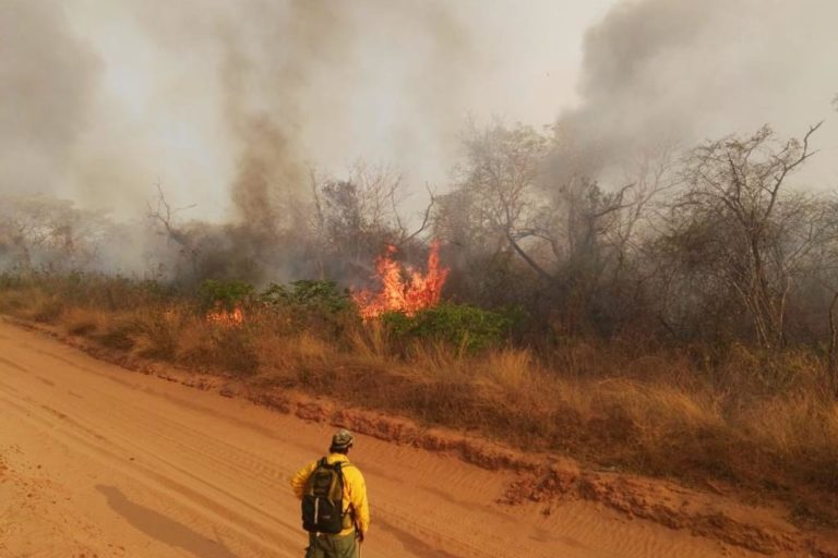 Santa Cruz sufre por 23 incendios en seis municipios
