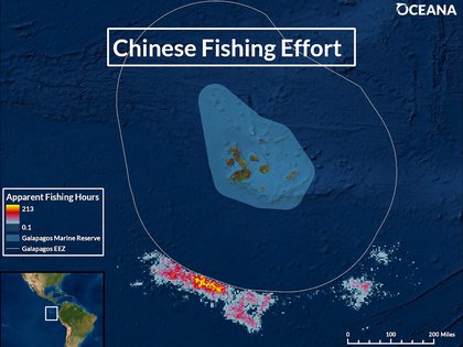 El hallazgo de Oceana de la flota china frente a las Galápagos