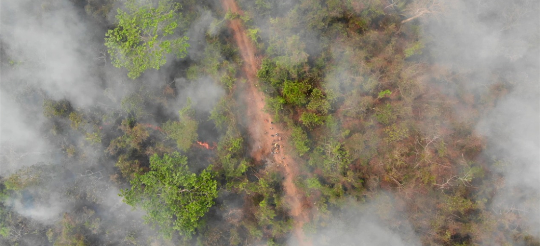 El fuego arrasa con los bosques de Santa Cruz. Foto. EL DEBER  