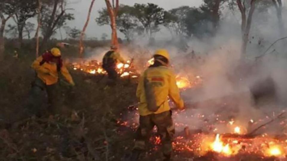 Un incendio que es desastre forestal en Bolivia | E... | Página12