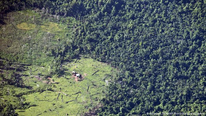 Nicaragua Murubila Regenwald Abholzung